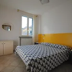 Fiorella